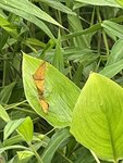 IMG_3186