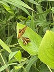 IMG_3188