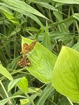 IMG_3190