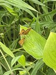 IMG_3191