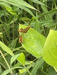 IMG_3192