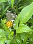 IMG_3195