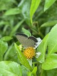 IMG_3197