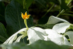 P1190094