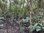 IMG_3320