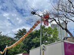 IMG_3453