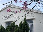 IMG_3901
