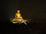 IMG_3916