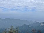 IMG_4293