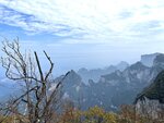 IMG_4305