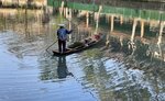 IMG_4422