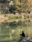 IMG_4423