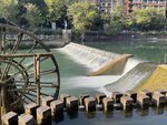 IMG_4431