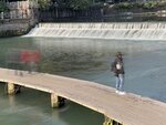IMG_4433