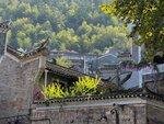 IMG_4537