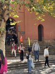 IMG_4540