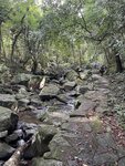 IMG_4839