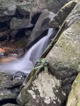 IMG_4840