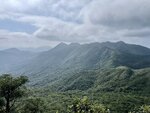 IMG_4861