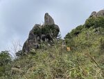 IMG_4867