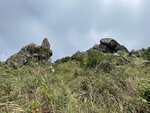 IMG_4871