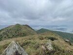 IMG_4930