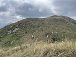 IMG_4939