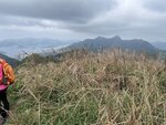IMG_4947