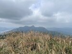 IMG_4949