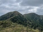 IMG_4952