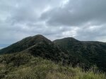 IMG_4953
