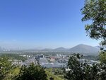 IMG_5182