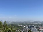 IMG_5184