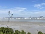 IMG_5249