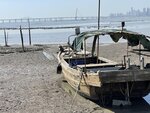 IMG_5275
