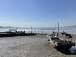 IMG_5276