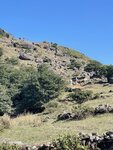 IMG_6113