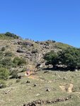 IMG_6115