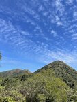 IMG_6323
