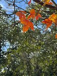 IMG_6401