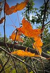 IMG_6404