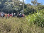 IMG_6489