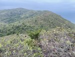 IMG_6812