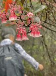 IMG_7022