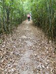 IMG_7510
