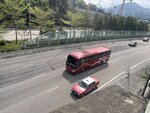 IMG_7800