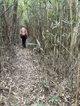 IMG_7805