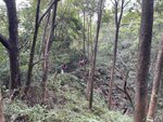 IMG_7811