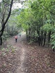 IMG_8509