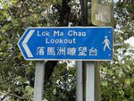 IMG_8906